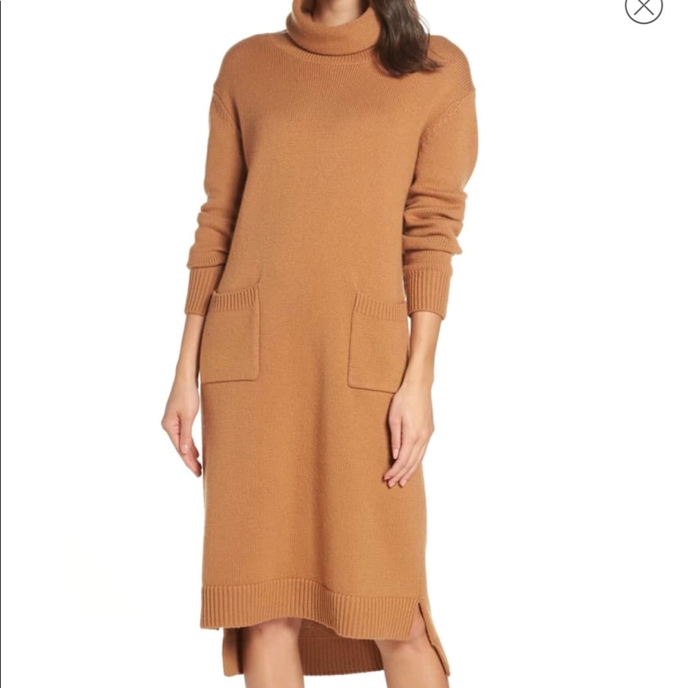 Caara Turtleneck Sweater Dress
